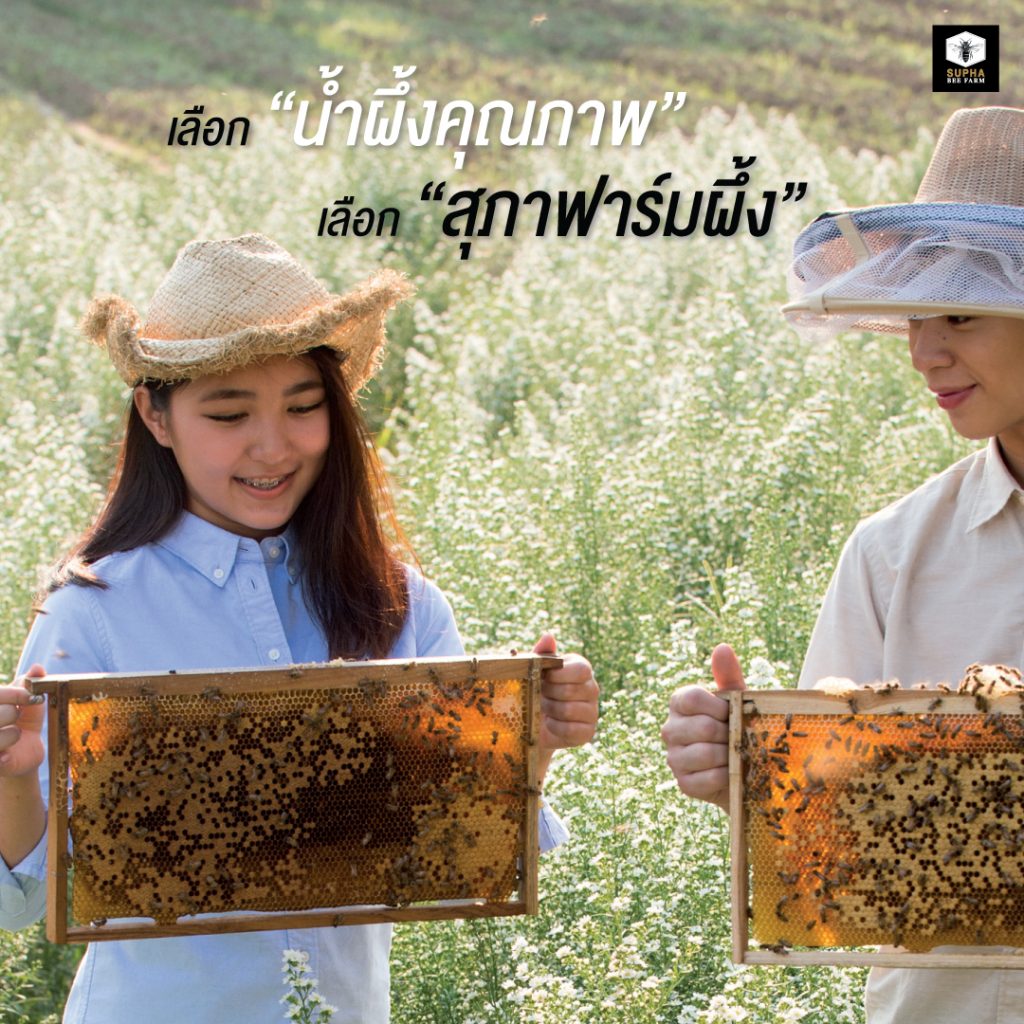 น้ำผึ้งคุณภาพจากสุภาฟาร์มผึ้ง