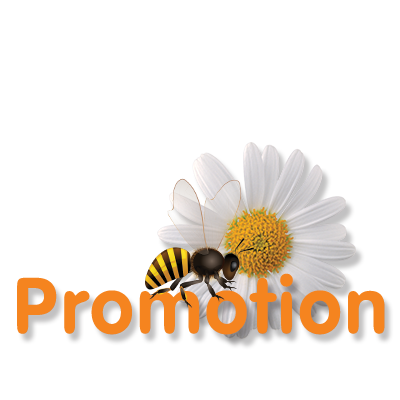 โปรโมชั่น